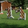 agility 2011-08